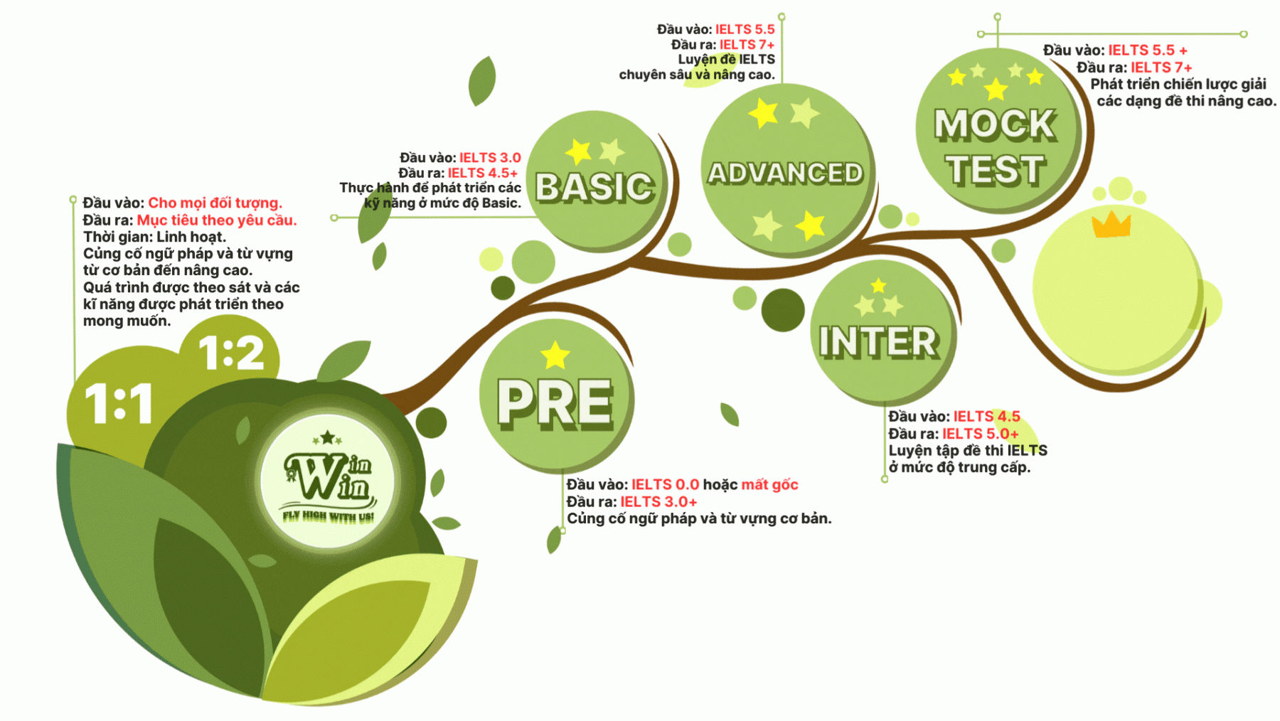 Lộ trình khóa học IELTS WinWin: Pre-IELTS → Basic → Inter → Advanced → Mock Test, kèm đầu vào và đầu ra từng khóa